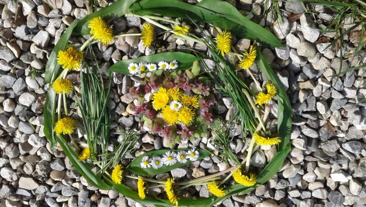 Waldkinderwiesentag, Gesundheitsförderung, ganzheitliche Bildung & Kind sein dürfen inmitten der Natur