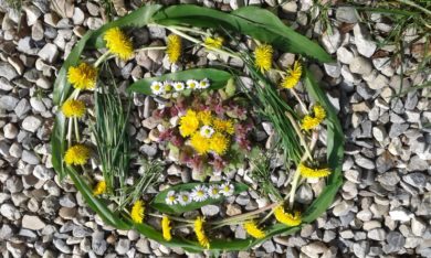 Waldkinderwiesentag, Gesundheitsförderung, ganzheitliche Bildung & Kind sein dürfen inmitten der Natur