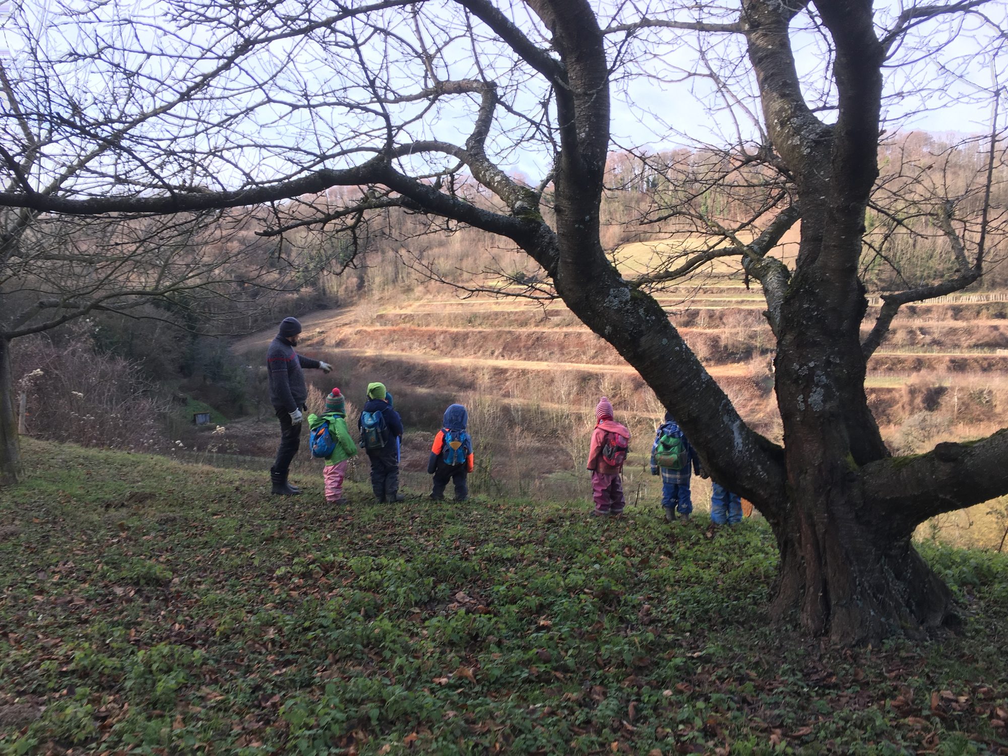 Kinder mit Rucksäcken und ein Erzieher unter einem kahlen Baum vor Weinbergterrassen