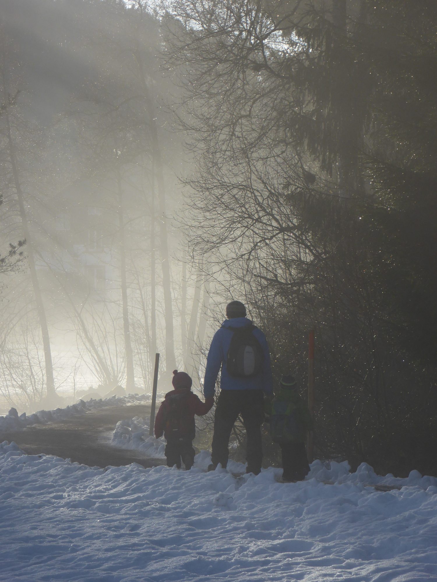 Erwachsener mit zwei Kindern auf einem verschneiten Waldweg im Nebel