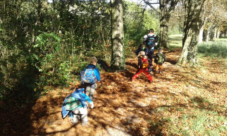 Kinder mit Rucksäcken wandern mit einem Erwachsenen über einen herbstlichen Waldweg