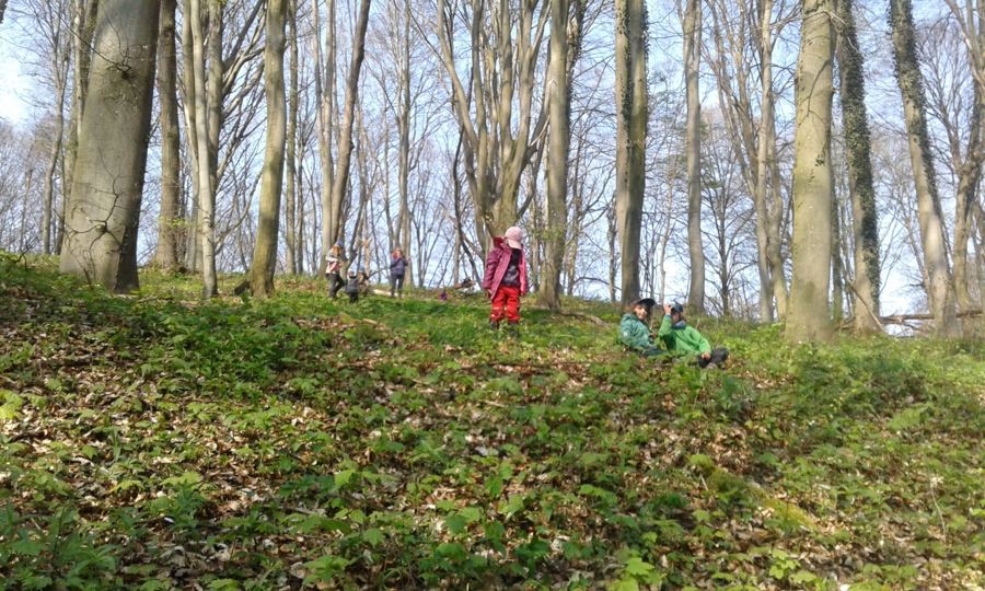 Kinder spielen an einem grünen Hang im lichten Frühlingswald