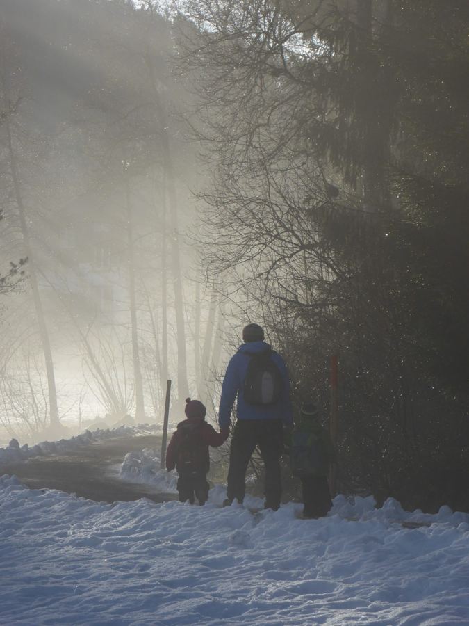 Erwachsener mit zwei Kindern auf einem verschneiten Waldweg im Nebel